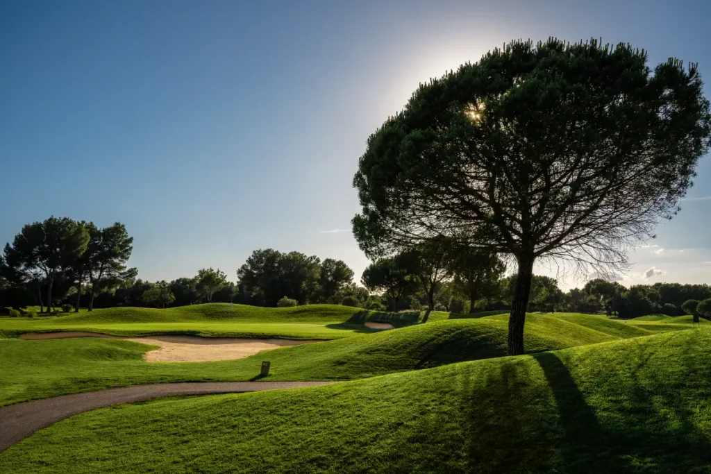 Son Antem West Golf Course View of Hole 5 with large tree in foreground