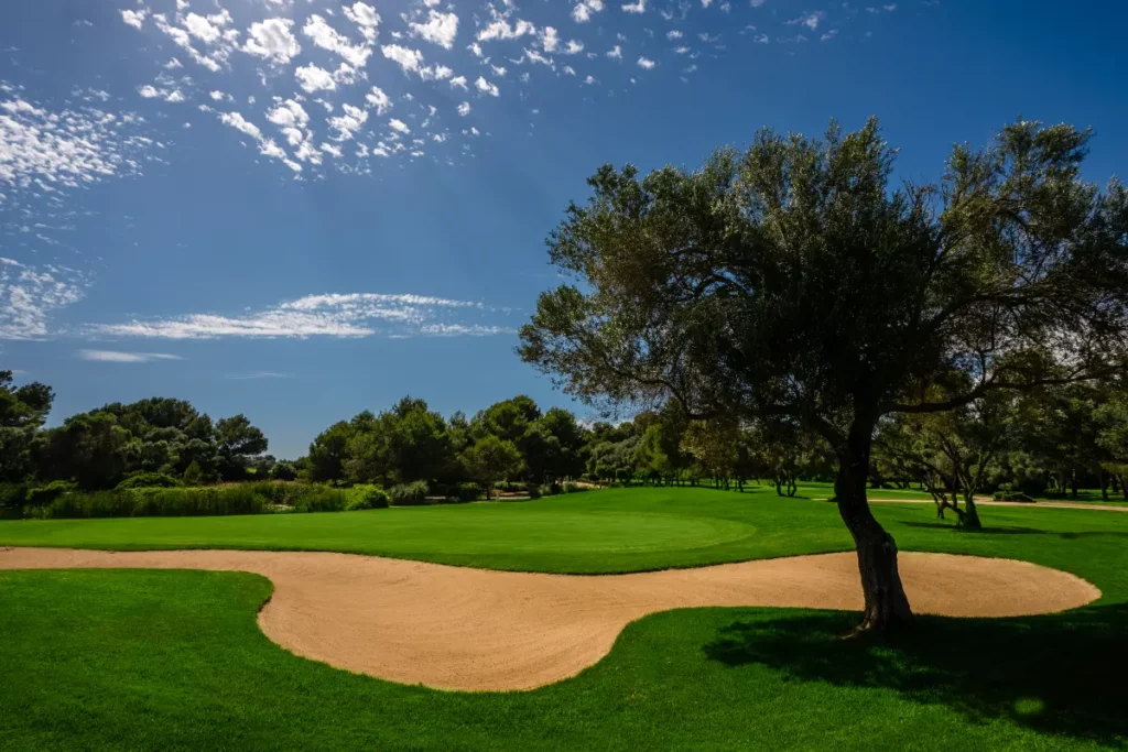 Son Antem East Golf Course View of Hole 5 Bunker in Mallorca