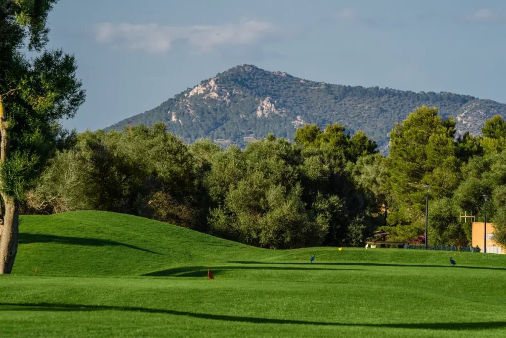 Son Antem West Golf Course View of Hole 13 tees with Randa mountain in background