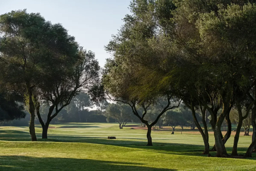 Son Antem East Golf Course View of Hole 10 in Mallorca