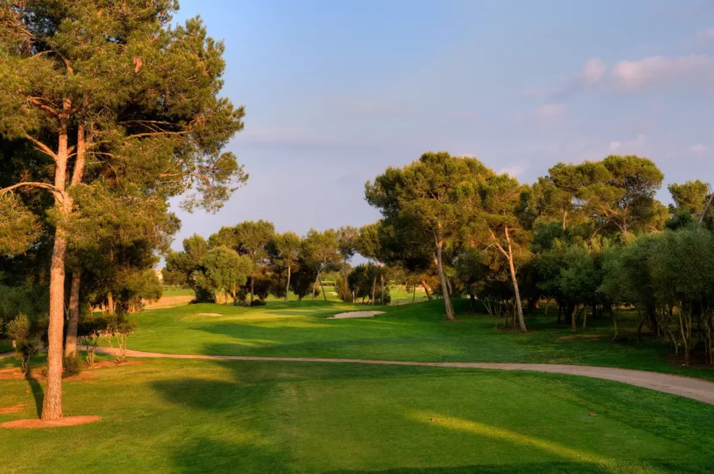 Son Antem West Golf Course View of Hole 11 Fairway and Trees in Mallorca