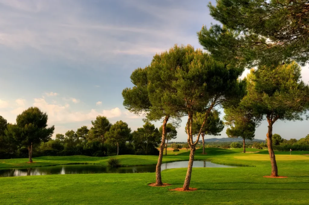 Son Antem West Golf Course View of Trees and Lake on Hole 9 in Mallorca
